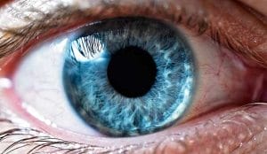oeil-iris