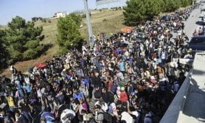 Dreuz Migrants